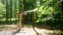 Florist-Unterstufe besucht den Friedwald Borchen